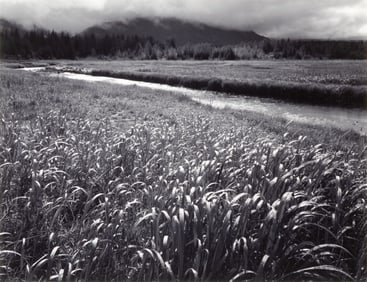 Ansel Adams (1902-1984), Rain, Beartrack Cove, Glacier Bay National Monument, Alaska, 1949