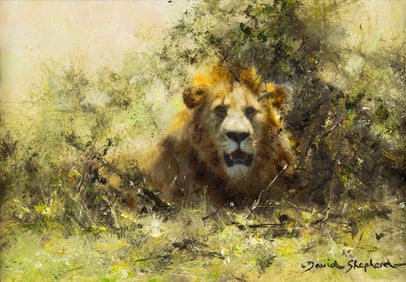 David Shepherd (1931-2017), Lion Under a Thorn Bush