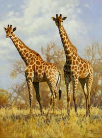 Jie Wei Zhou (1962- ), Giraffes