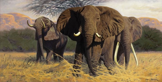 A. John Pelletier (20th Century), Bulls on the Move (Elephants)