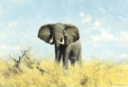 David Shepherd (1931-2017), Bull Elephant, 1970