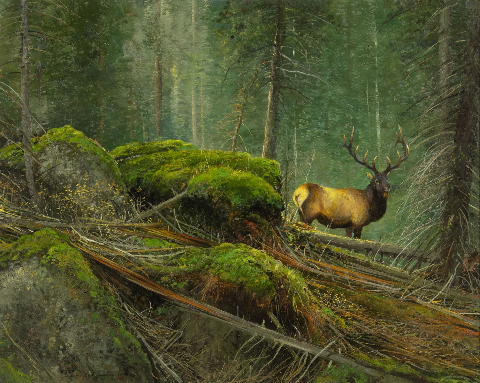Michael Coleman (1946- ), High Country Elk: Michael Coleman (1946- ), High Country Elk Medium: oil on panel Dimensions (in.): 24 x 30 Framed Dimensions (in.): 34 x 39 3/4 x 2 1/4 Signature signed lower left: Michael Coleman (artist cipher) ©