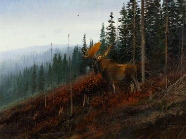 Nicholas Coleman (1978- ), In His Prime