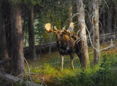 Ralph Oberg (1950- ), Wyoming Moose