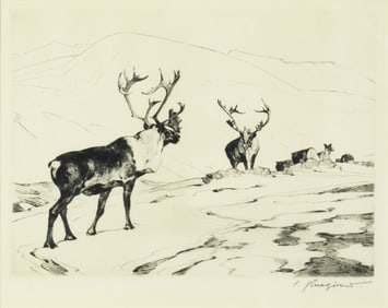 Carl Rungius (1869-1959), The Stranger