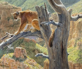 Jan Martin McGuire (1955- ), Red Rock Realm