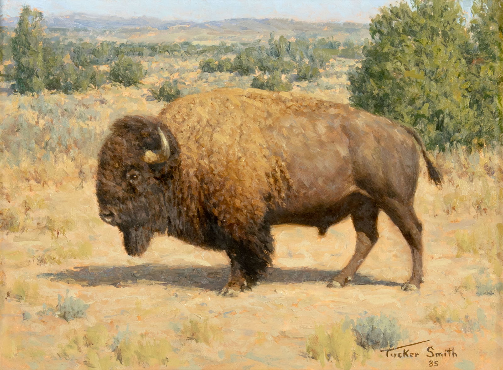 Tucker Smith (1940- ), Plains Bison, 1985: Tucker Smith (1940- ), Plains Bison, 1985 Medium: oil on masonite Dimensions (in.): 9 x 12 Framed Dimensions (in.): 13 3/4 x 16 7/8 x 1 3/8 Signature signed and dated lower right: Tucker Smith 85