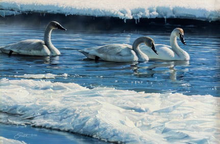 Daniel Smith (1954- ), Winter Passage, 2006