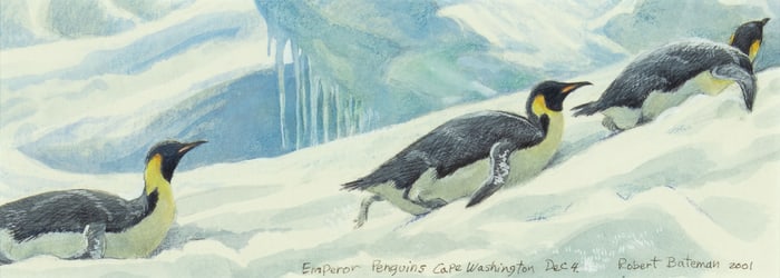 Robert Bateman (1930- ), Emperor Penguins, 2001