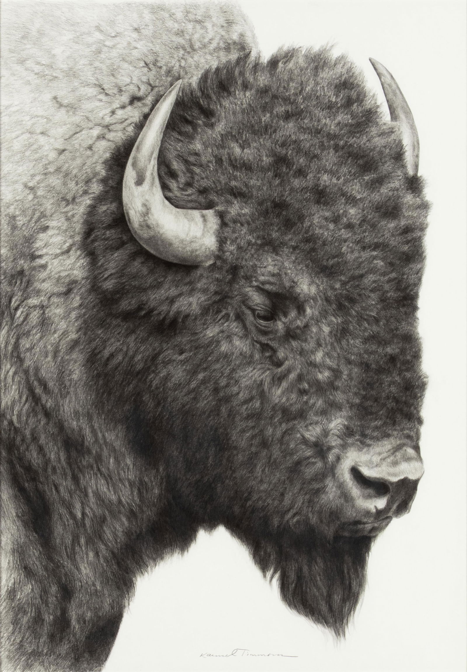 Karmel Timmons, b.1966, Portrait of a Legend (1 of 3)