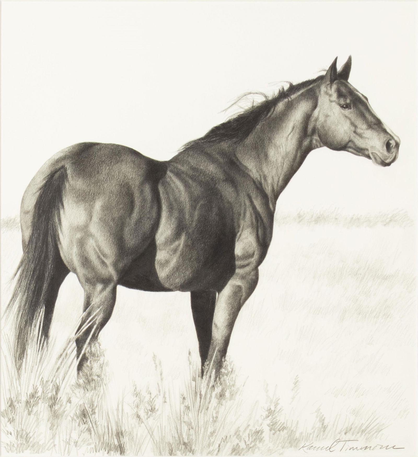 Karmel Timmons, b.1966, Horse: Karmel Timmonsb.1966Horsepencil on papersigned lower right: Karmel Timmons14 1/2 x 13 in., Frame: 28 1/2 x 27 1/4 x 1 3/4 in. Provenance:From a Private Collection