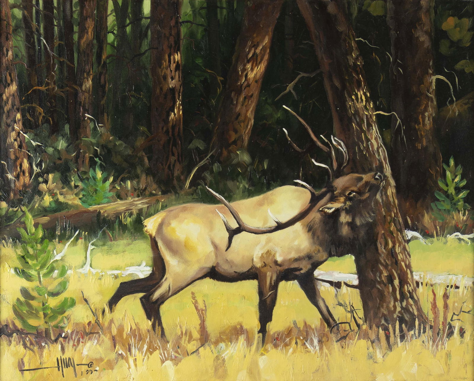 K. Alan Huey, b.1962, Elk, 1999 (1 of 3)