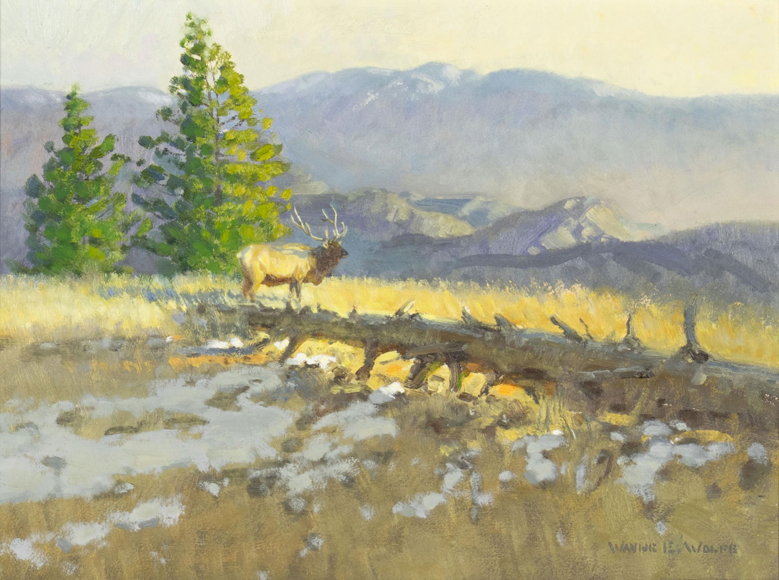 Wayne Wolfe, b.1944/45, Something in the Wind (1 of 3)