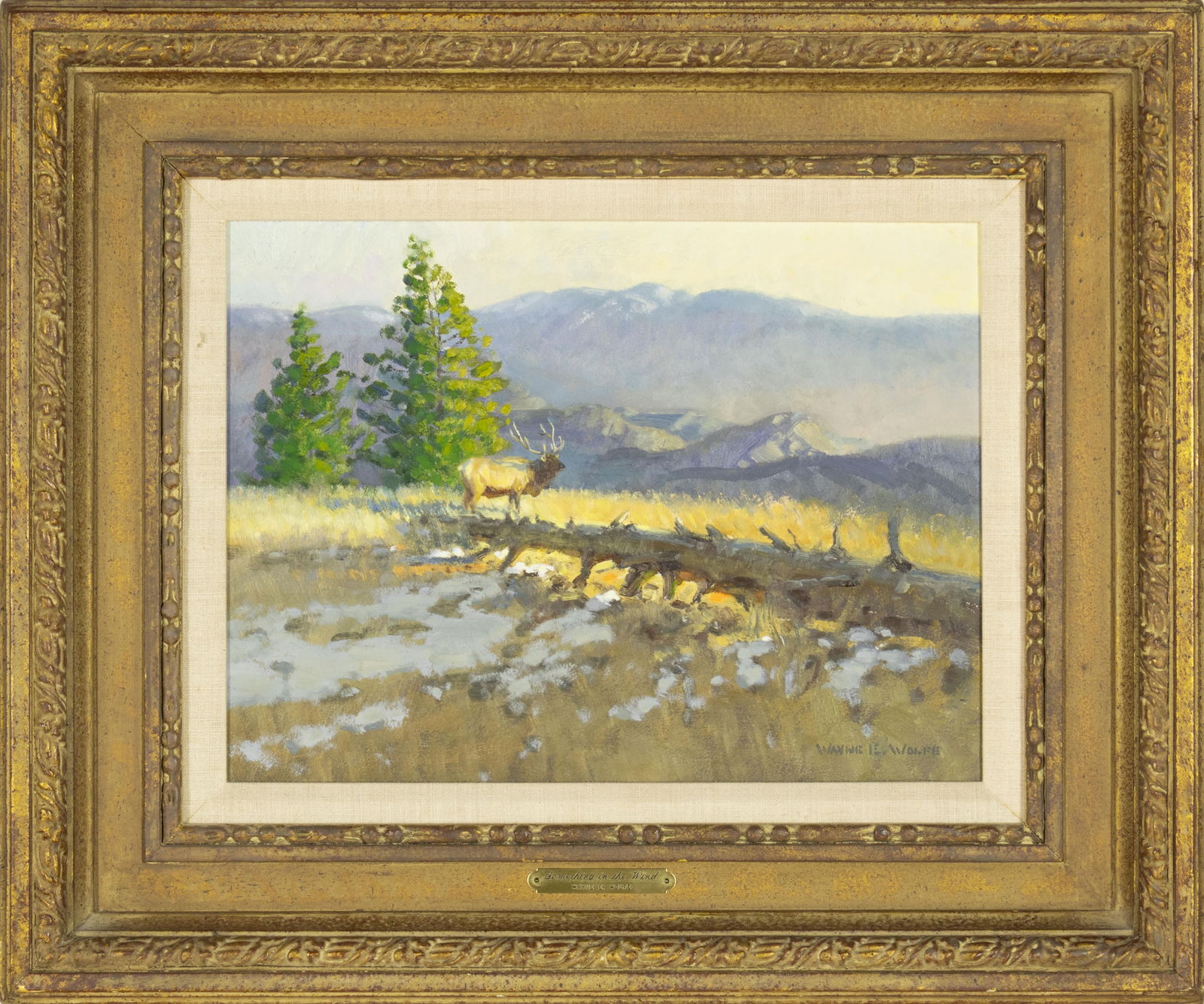 Wayne Wolfe, b.1944/45, Something in the Wind - 2