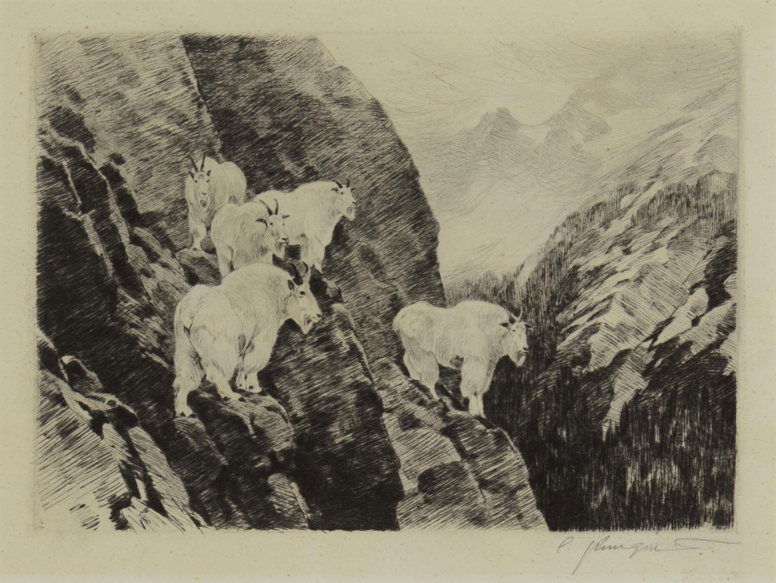 Carl Rungius, 1869-1959, Goats (1 of 3)