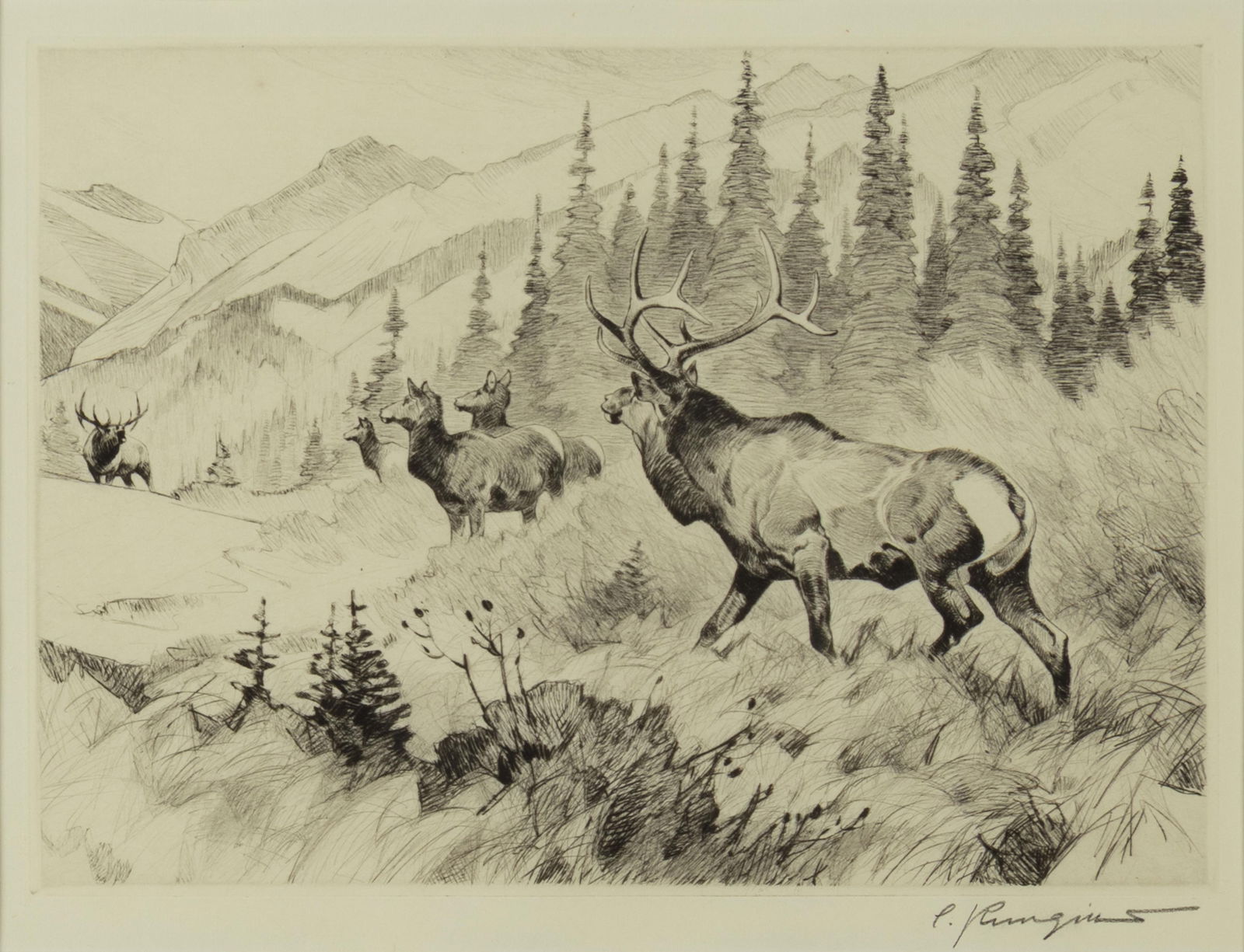 Carl Rungius, 1869-1959, Challenged (1 of 3)