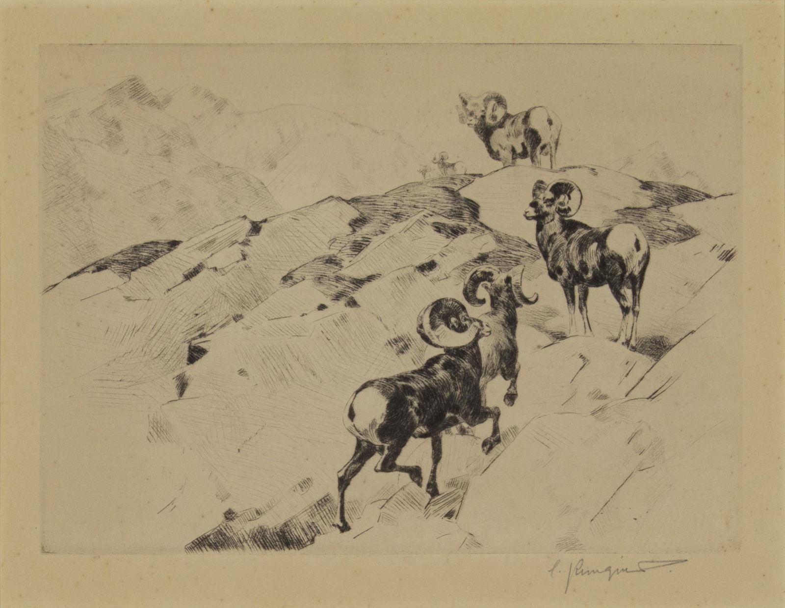 Carl Rungius, 1869-1959, Alarmed (1 of 3)