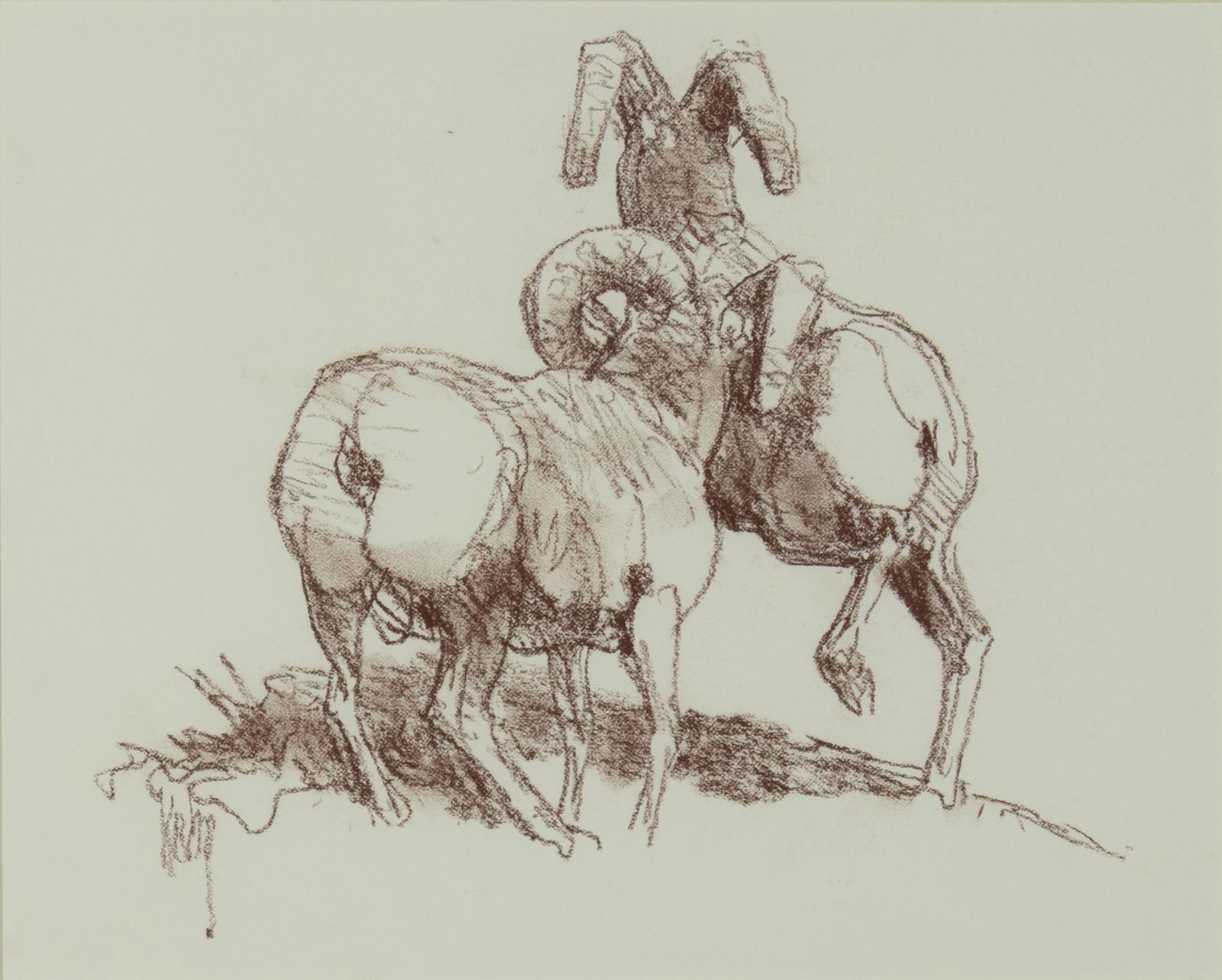 Bob Kuhn, 1920-2007, Bighorn Sheep (1 of 3)