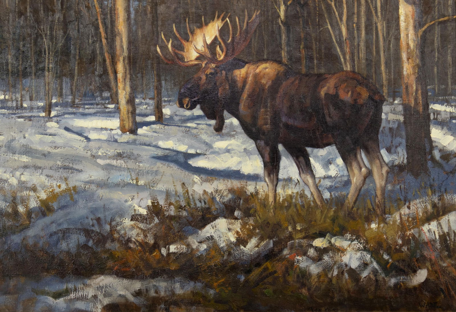 David Charles Wade, 1952-2019, Moose (1 of 3)