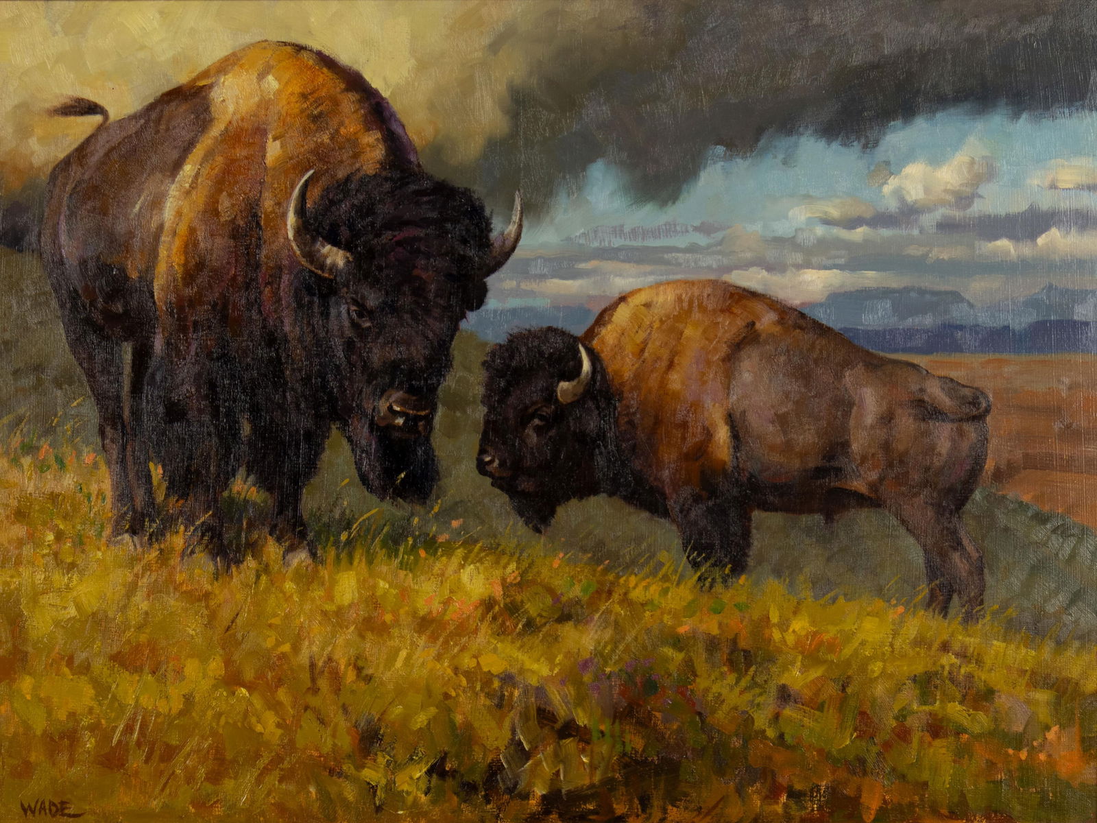 David Charles Wade, 1952-2019, Bison (1 of 3)