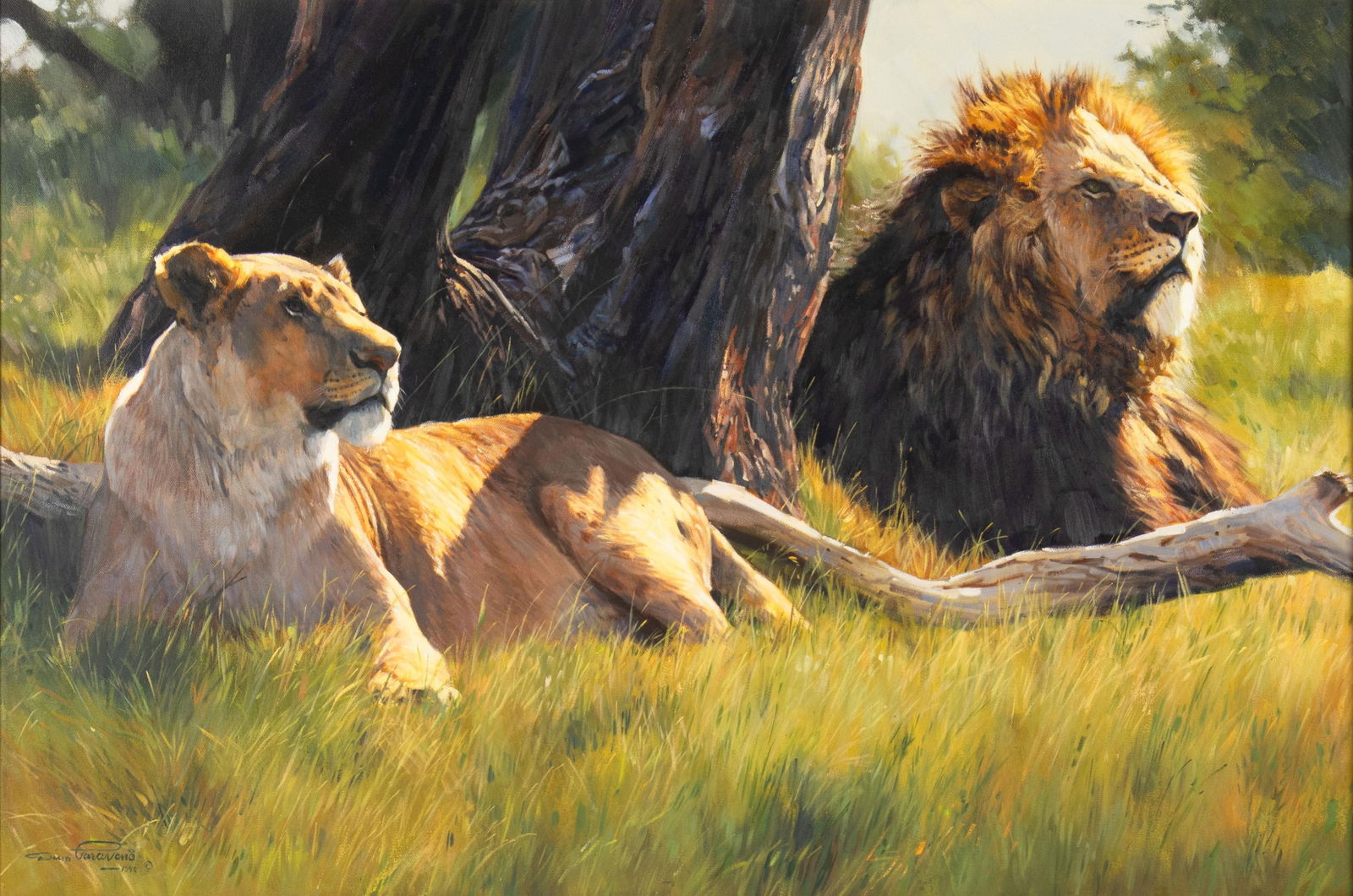 Dino Paravano, South African b.1935, Resting Lion and Lioness, 1998 (1 of 3)