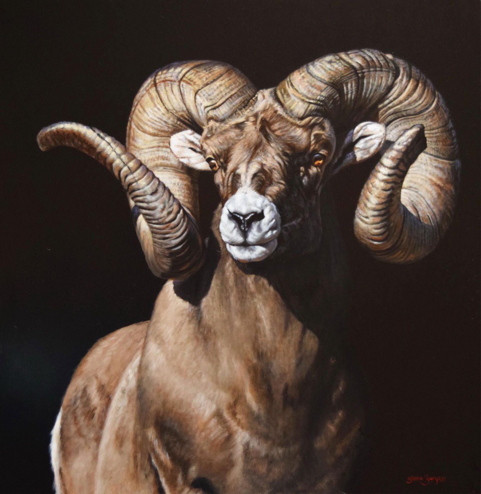 Steve Burgess, b.1960, Regal (1 of 1)