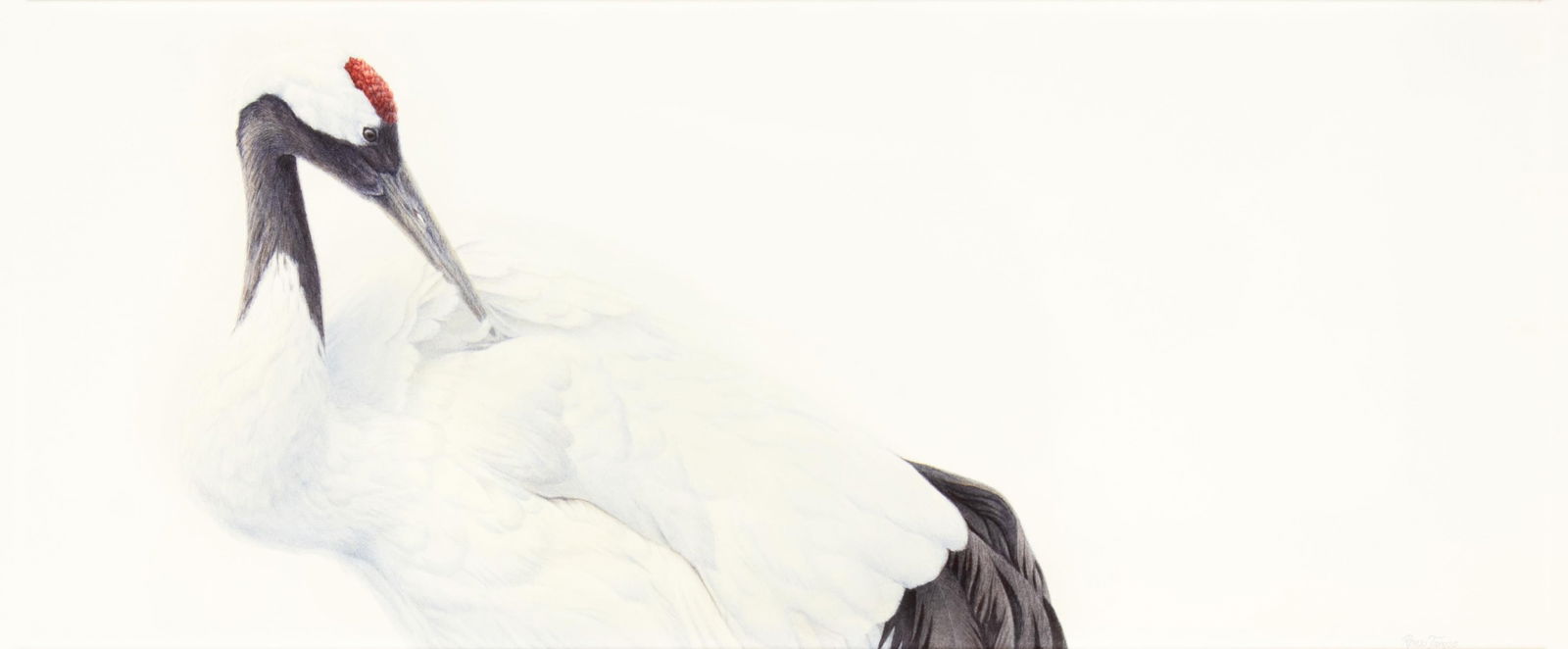 Renso Tamse, b.1974, Crane II: Renso Tamseb.1974Crane IIwatercolor on boardsigned lower right: Renso Tamse11 3/4 x 27 1/2 in., Frame: 15 1/4 x 31 1/8 x 1 in. Provenance:Trailside Galleries, Jackson, WY & Scottsdale, AZ