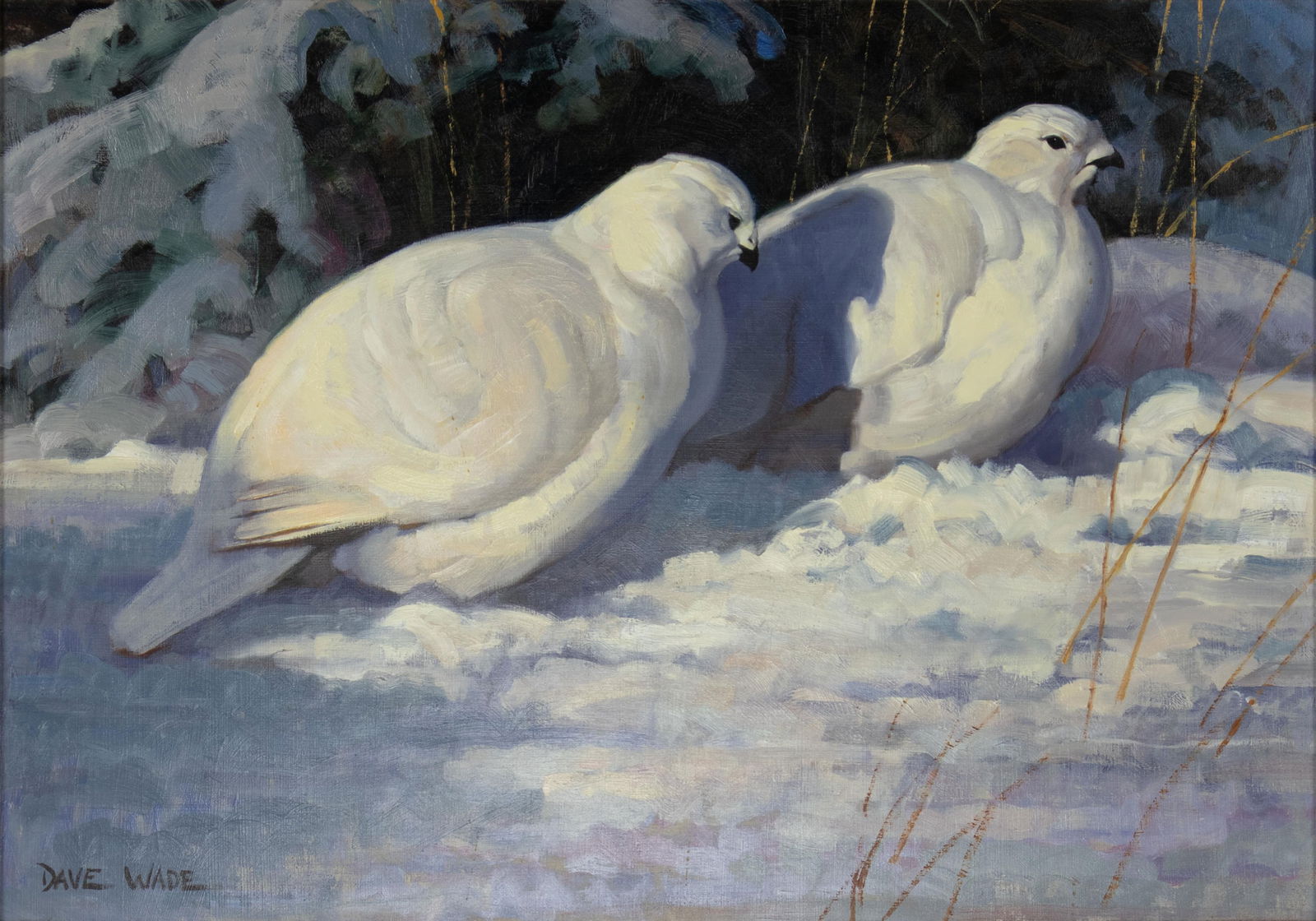 David Charles Wade, 1952-2019, Sun on White (1 of 3)