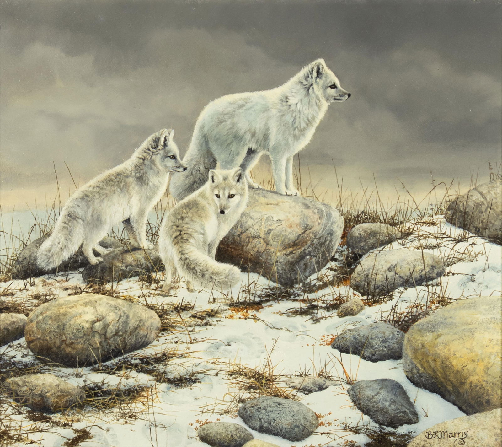 Bonnie Marris, Michigan b.1951, Arctic Phantoms - White Fox (1 of 3)