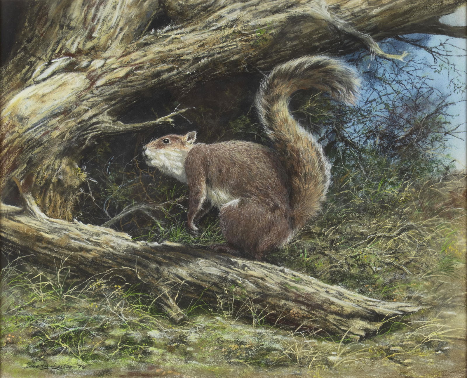 John Seerey-Lester, American 1946-2020, Squirrel, 1978 (1 of 3)