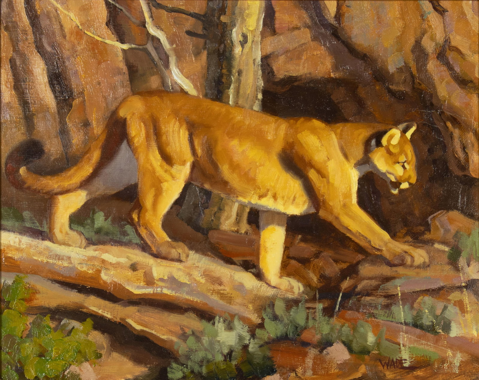 David Charles Wade, 1952-2019, Mountain Lion (1 of 3)