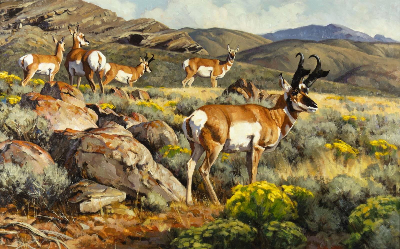 David Charles Wade, Pronghorn Antelope