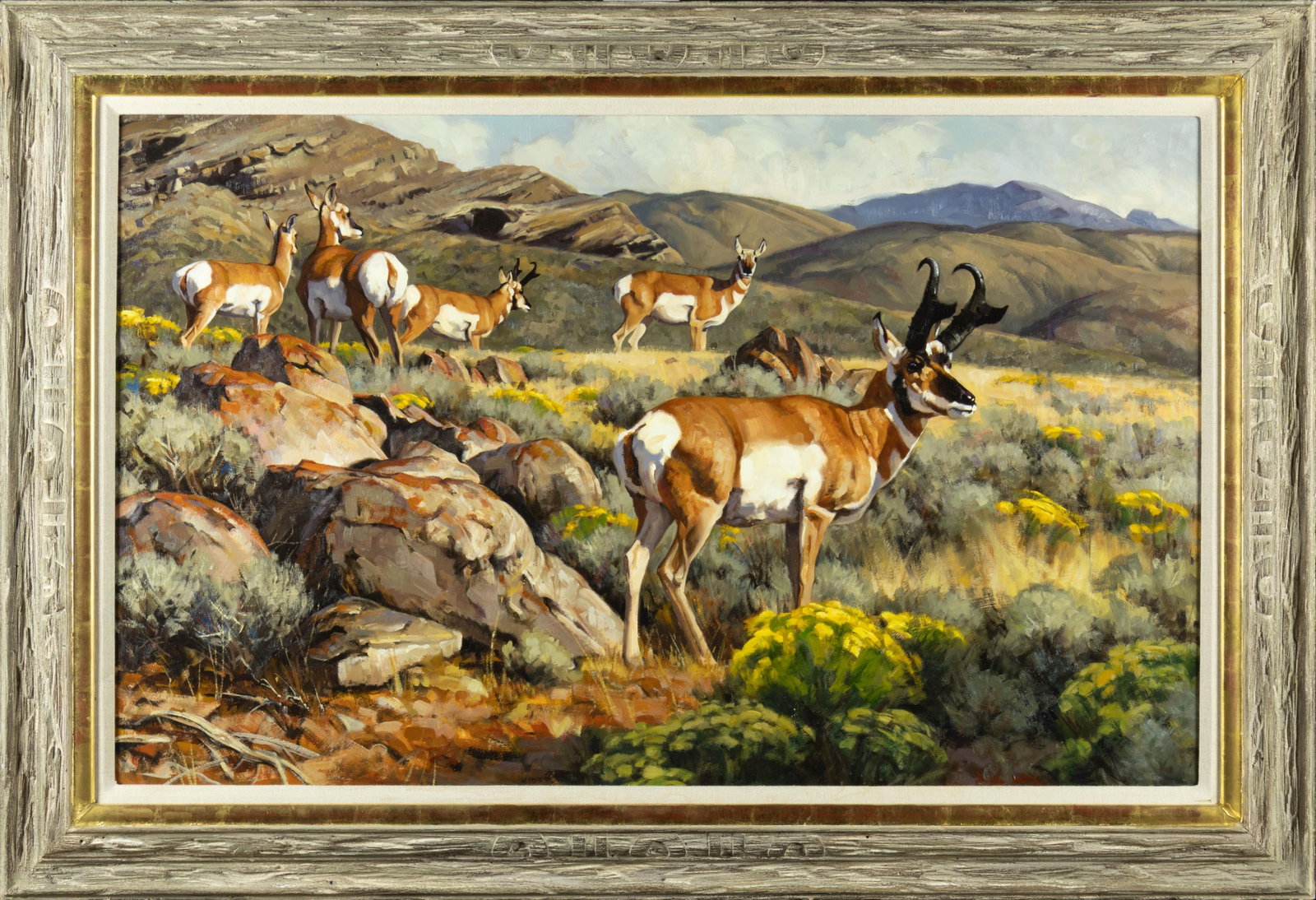 David Charles Wade, Pronghorn Antelope - 2
