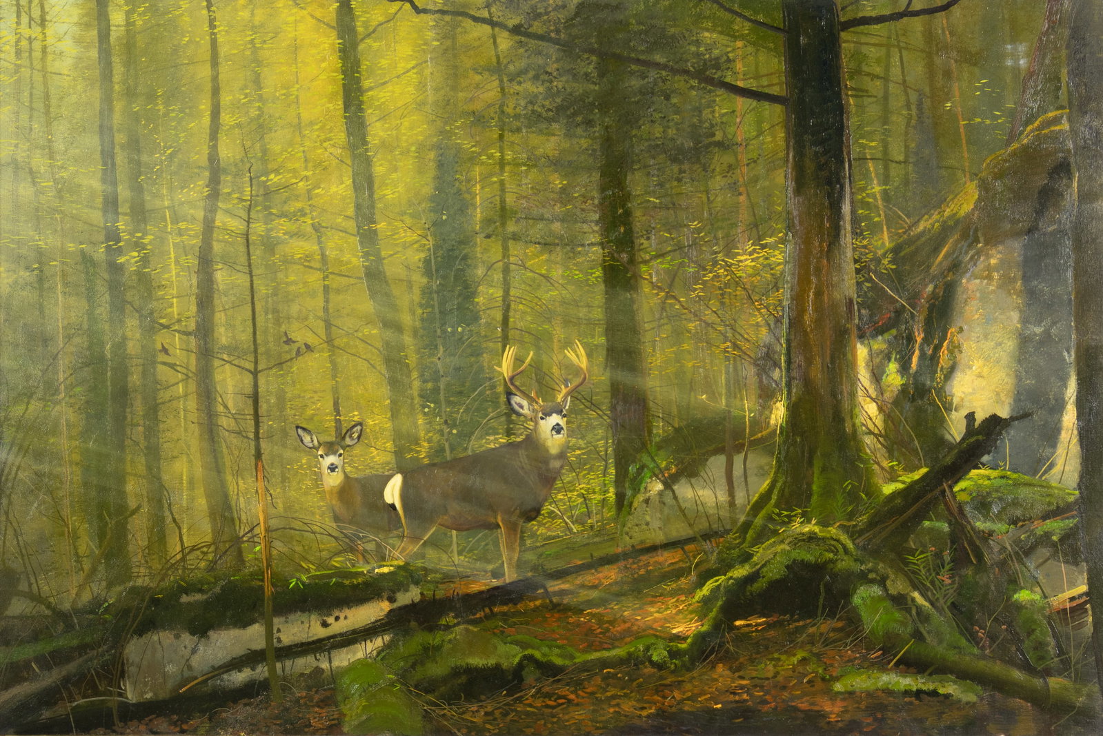 Michael Coleman, Deer in Autumn Landscape: Michael Coleman b.1946 Deer in an Autumn Landscape oil on canvas panel signed lower right: MICHAEL COLEMAN © 40 x 60 in.; Frame: 53 1/2 x 73 3/8 x 4 3/4 in. Provenance: From a Private Colle