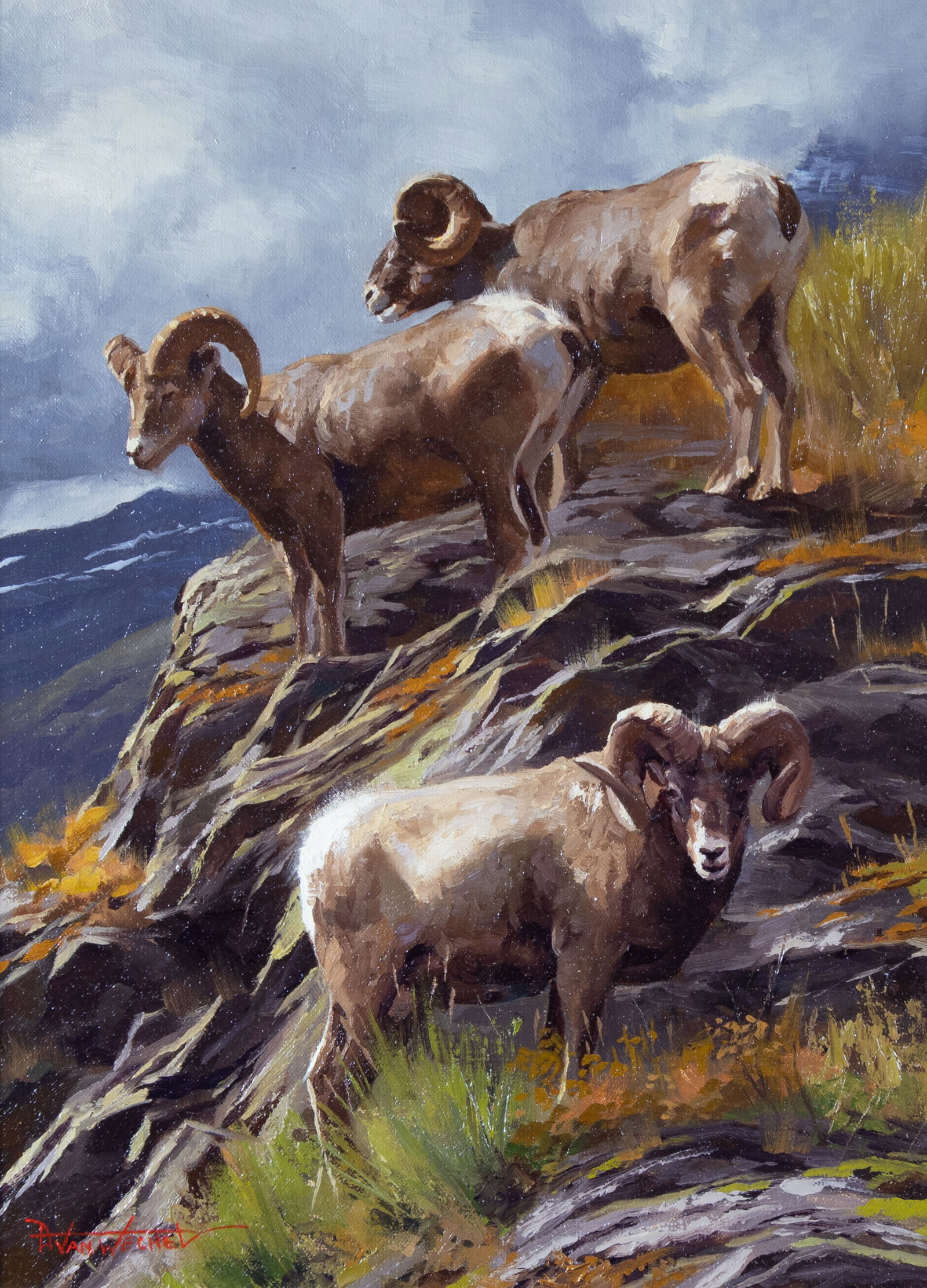 Dustin Van Wechel, Ram Tough, 2016: Dustin Van Wechel b.1974 Ram Tough, 2016 oil on canvas panel signed lower left: D Van Wechel verso: titled, signed and dated 16 x 12 in., Frame: 23 3/4 x 19 5/8 x 2 1/2 in. Provenance: From a Private