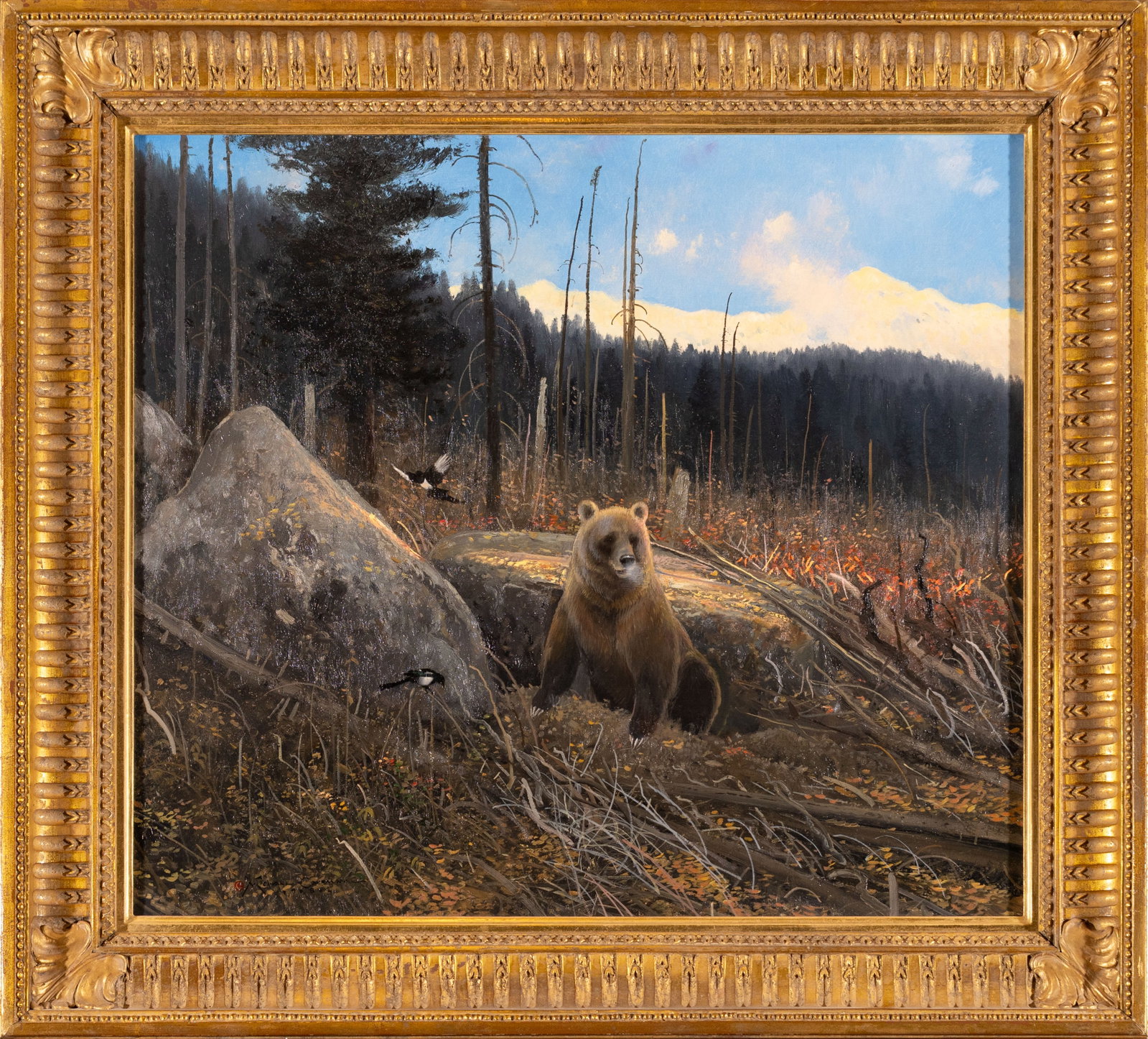 Michael Coleman, Digging Marmots, 1982 - 2