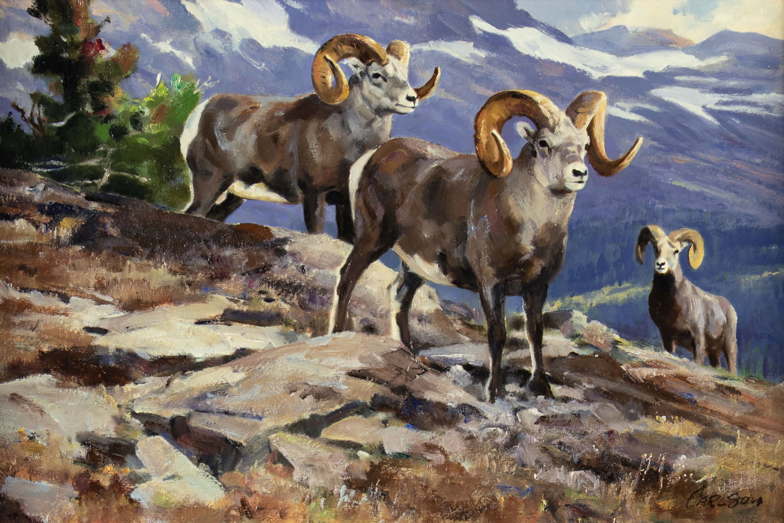 Ken Carlson, Bighorn Sheep: Ken Carlson b.1937 Bighorn Sheep oil on board signed lower right: CARLSON 12 x 18 in., Frame: 18 3/4 x 24 7/8 x 2 1/4 in. Provenance: From a Private Collection