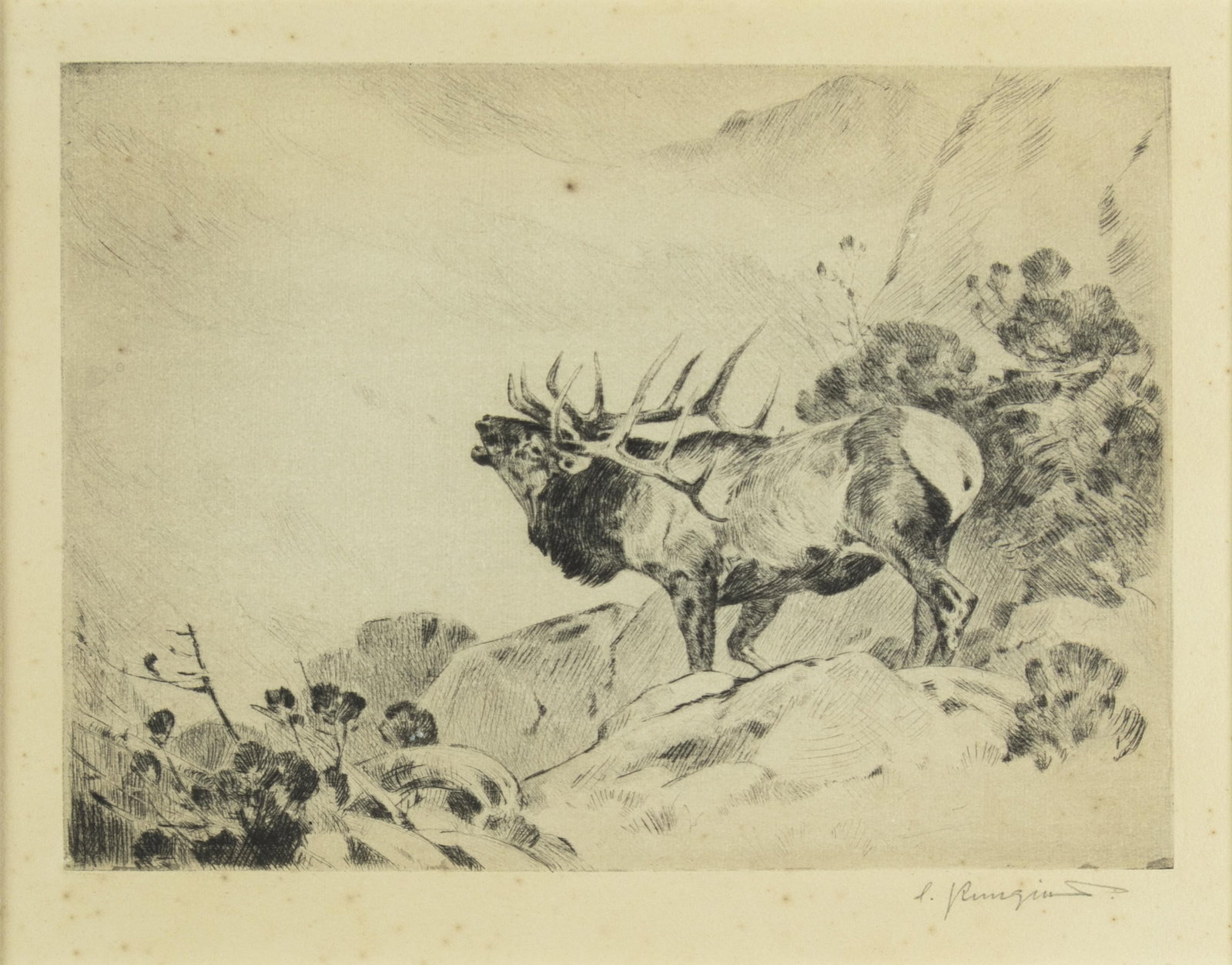 Carl Rungius, The Challenge, 1925: Carl Rungius 1869-1959 The Challenge, 1925 etching and drypoint on paper signed lower right: C. Rungius. 7 1/4 x 9 1/4 in., Frame: 13 1/2 x 15 1/4 x 1 in. Provenance: From a Private Collection