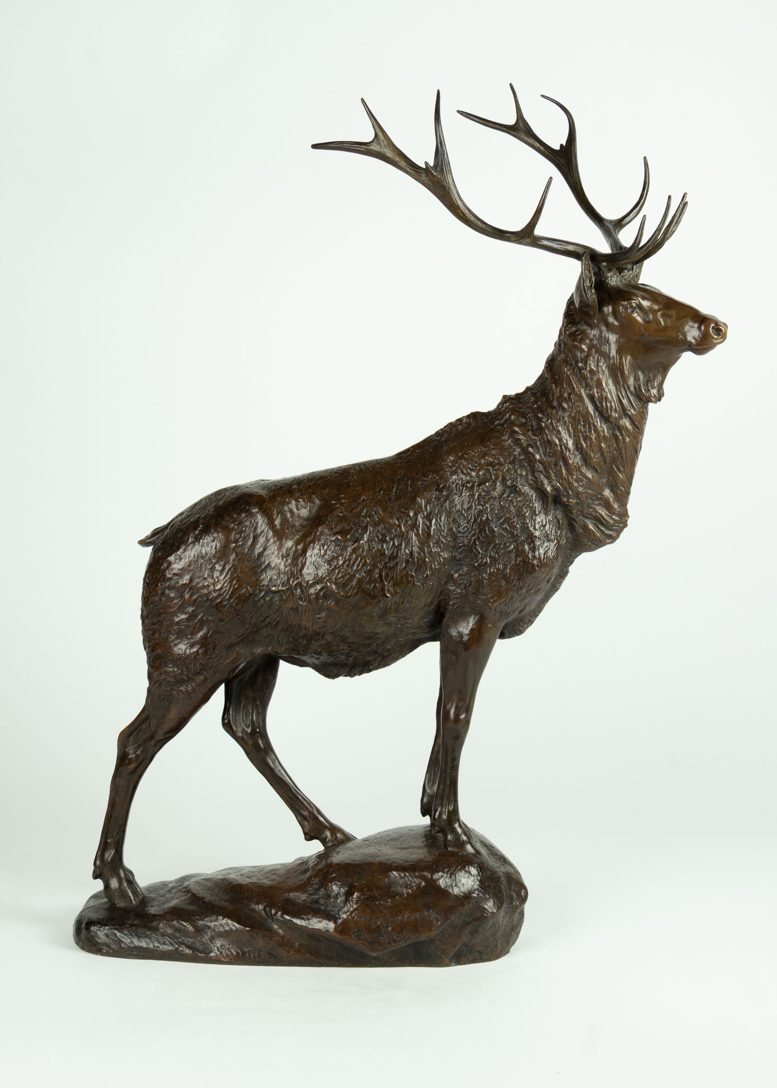 Eli Harvey, Elk, 1909 - 2