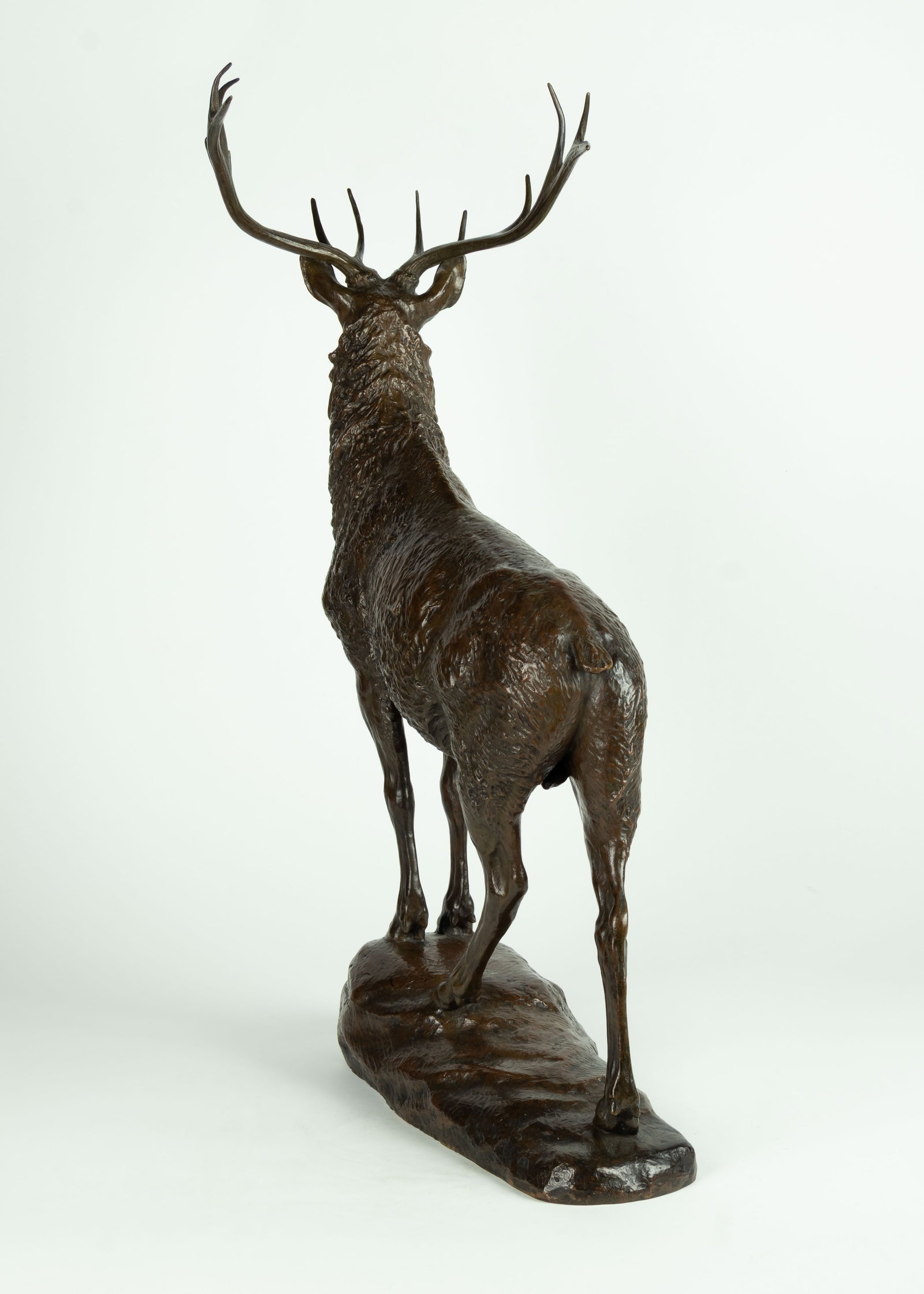 Eli Harvey, Elk, 1909 - 3