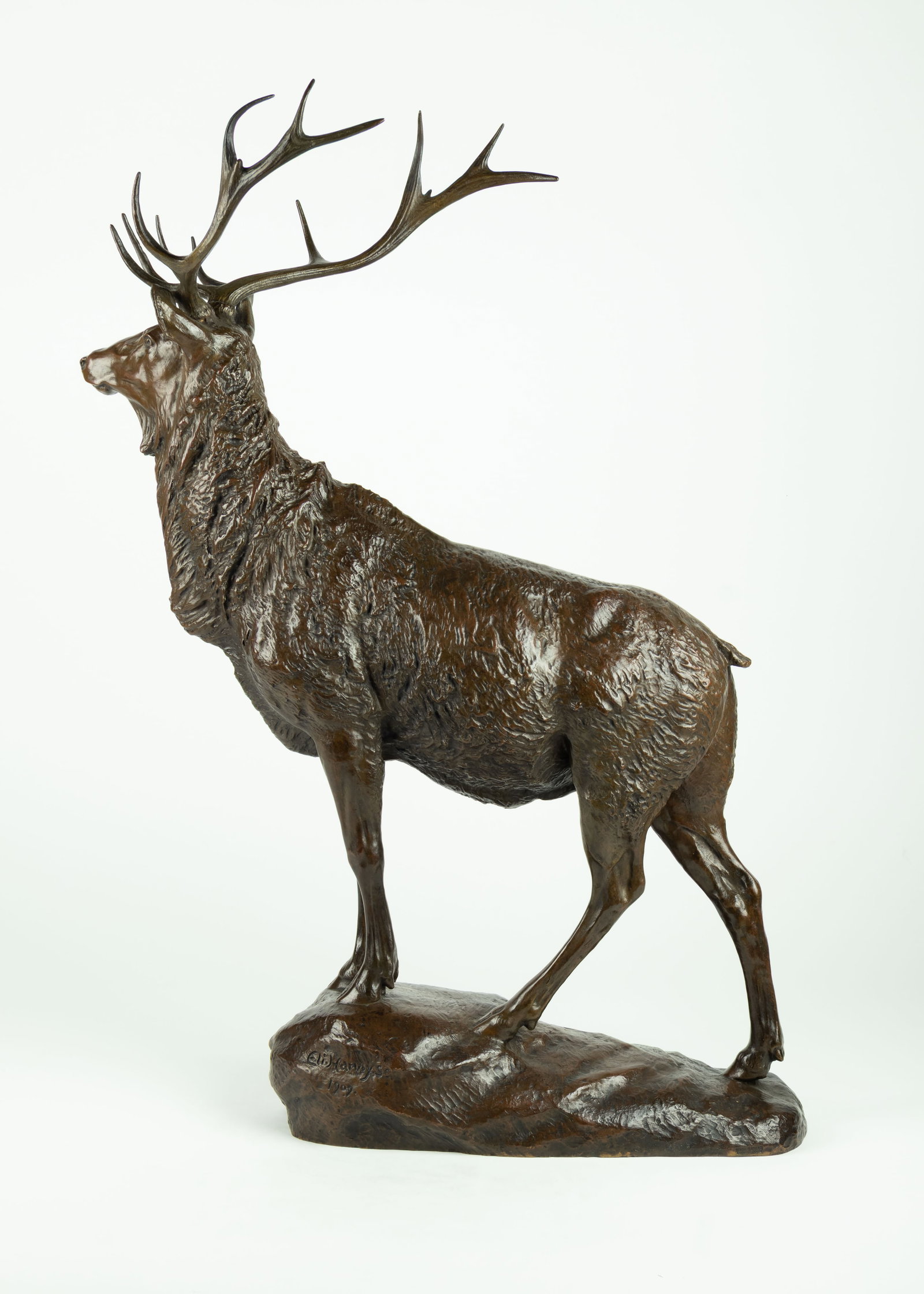 Eli Harvey, Elk, 1909 - 4