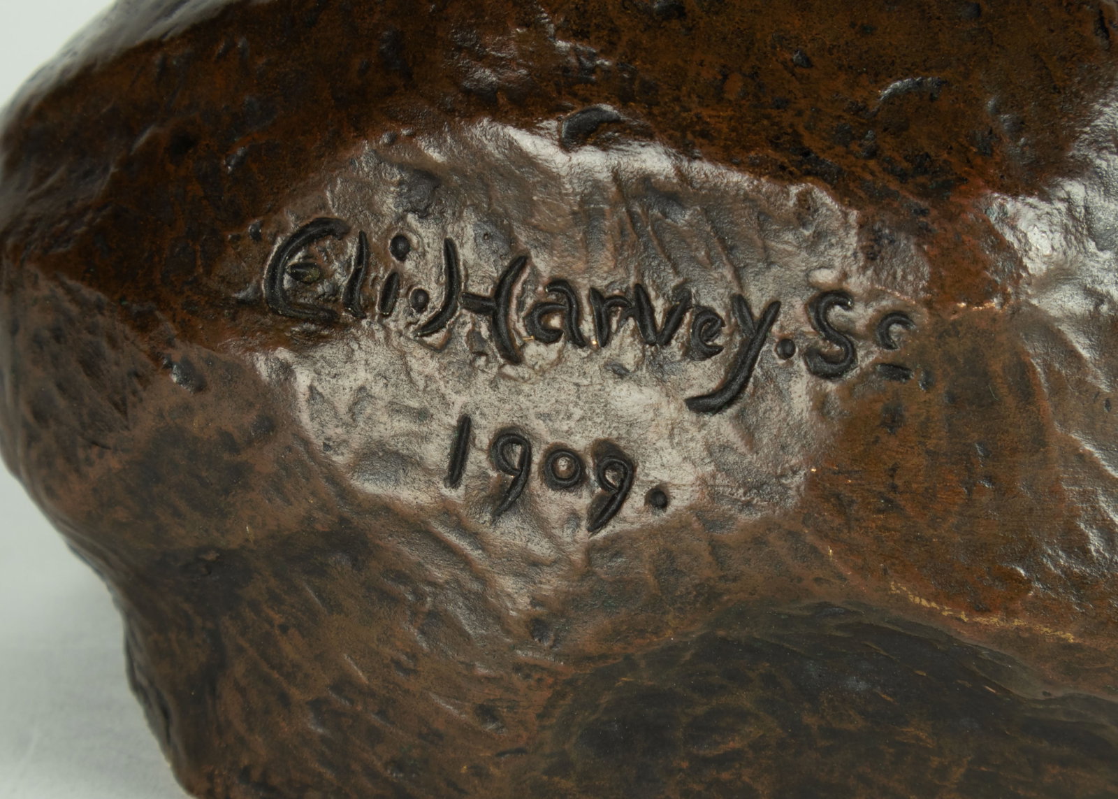 Eli Harvey, Elk, 1909 - 5
