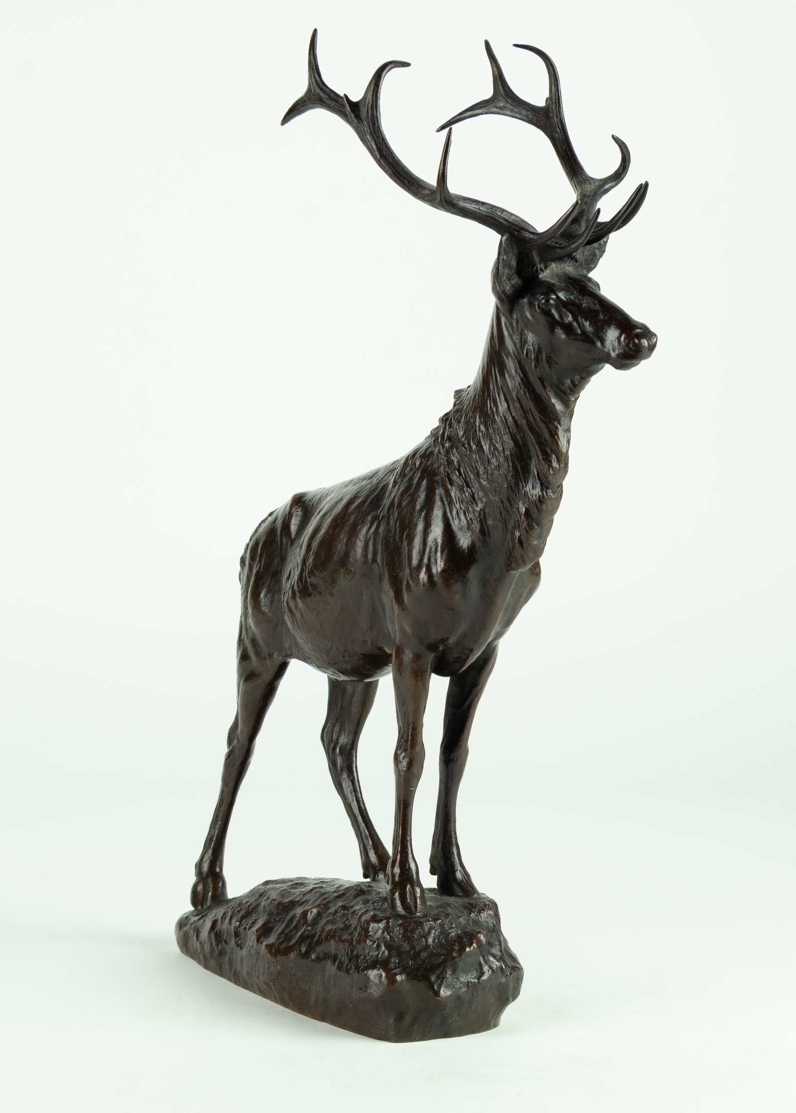 Eli Harvey, Elk, 1904: Eli Harvey 1860-1957 Elk, 1904 bronze inscribed: Eli Harvey Sc. 1904 inscribed: Copyright. by Eli Harvey 1904 stamped: Q 435 GORHAM CO. FOUNDERS stamped: 17 modeled in 1904 cast in 1913 17 x 12 x 6
