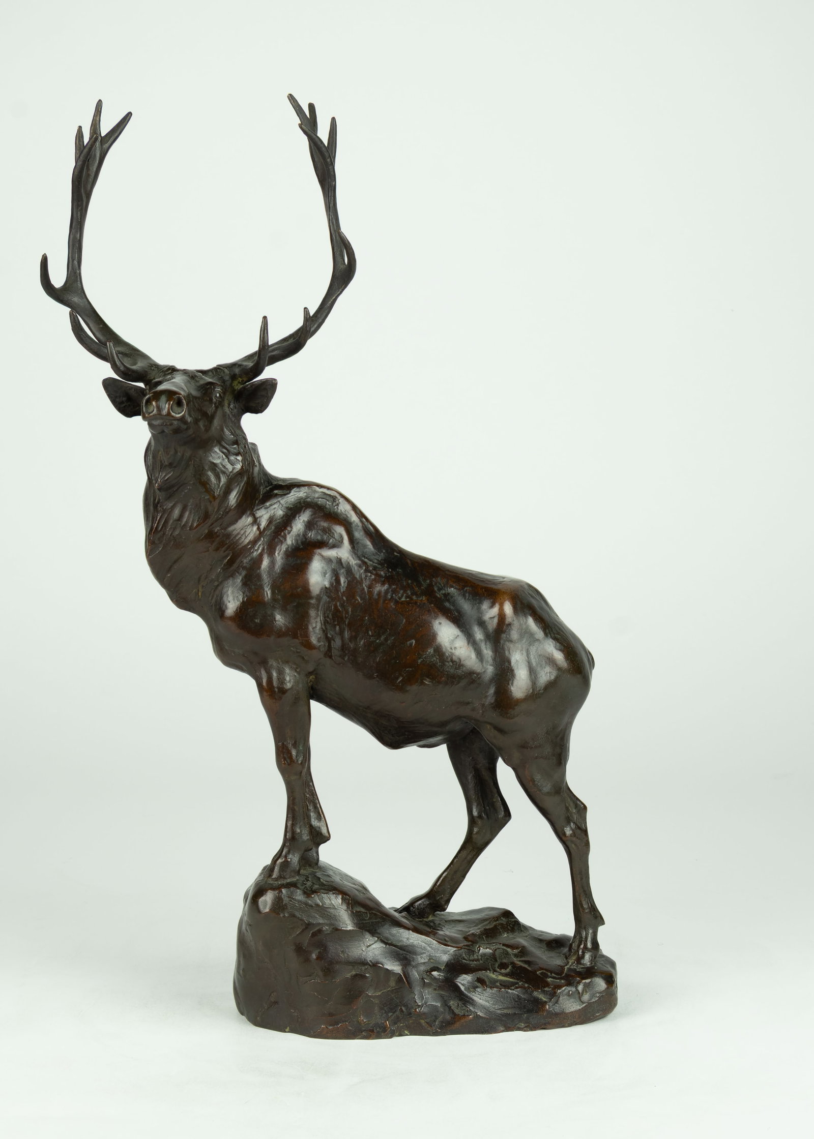 Anna Hyatt Huntington, Elk: Anna Hyatt Huntington 1876-1973 Elk bronze inscribed: Anna V. Huntington stamped: GORHAM C FOUNDERS Q U Q 18 3/4 x 11 1/4 x 6 in. Provenance: From a Private Collection