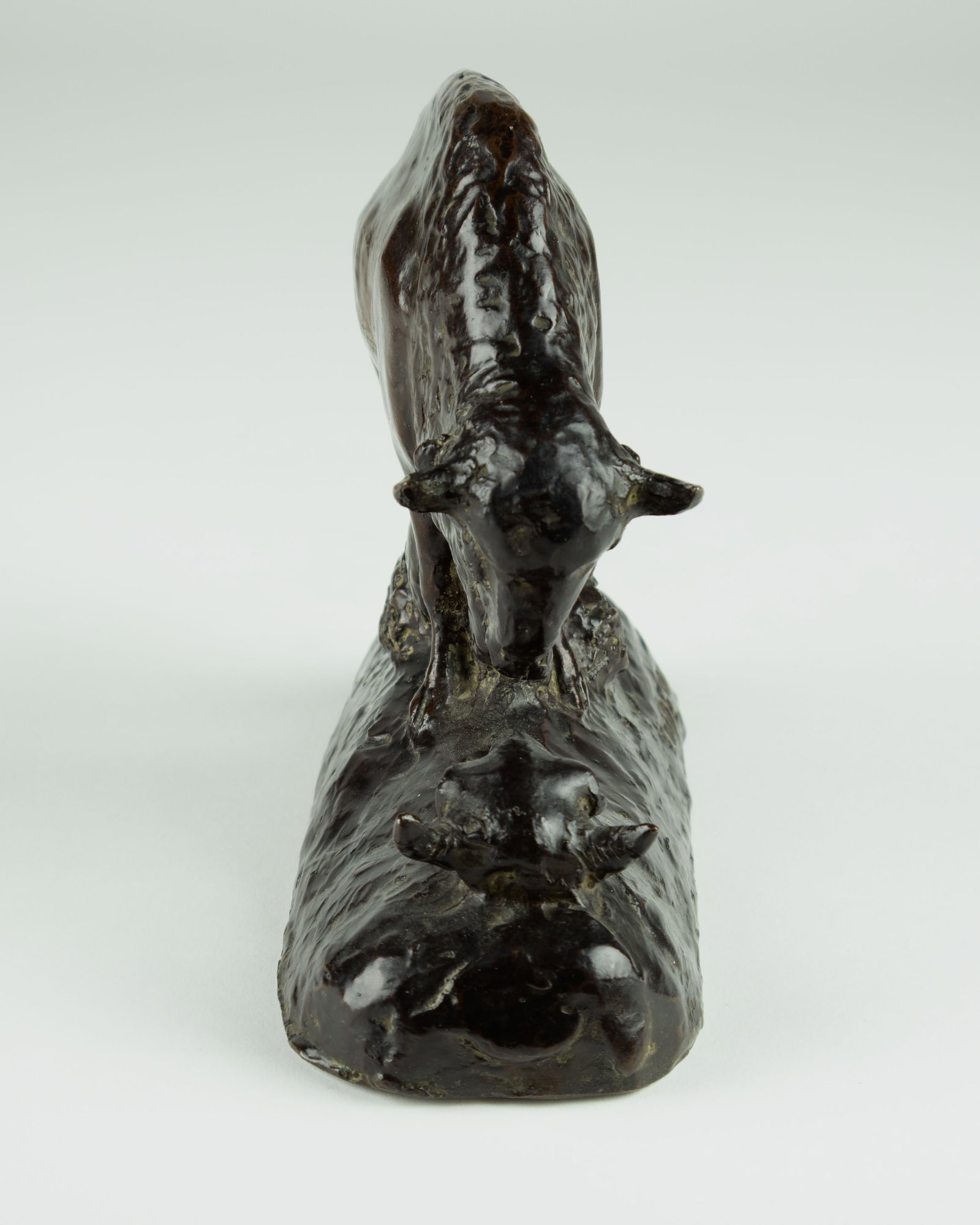 Edwin Willard Deming, Buffalo with Skull - 2