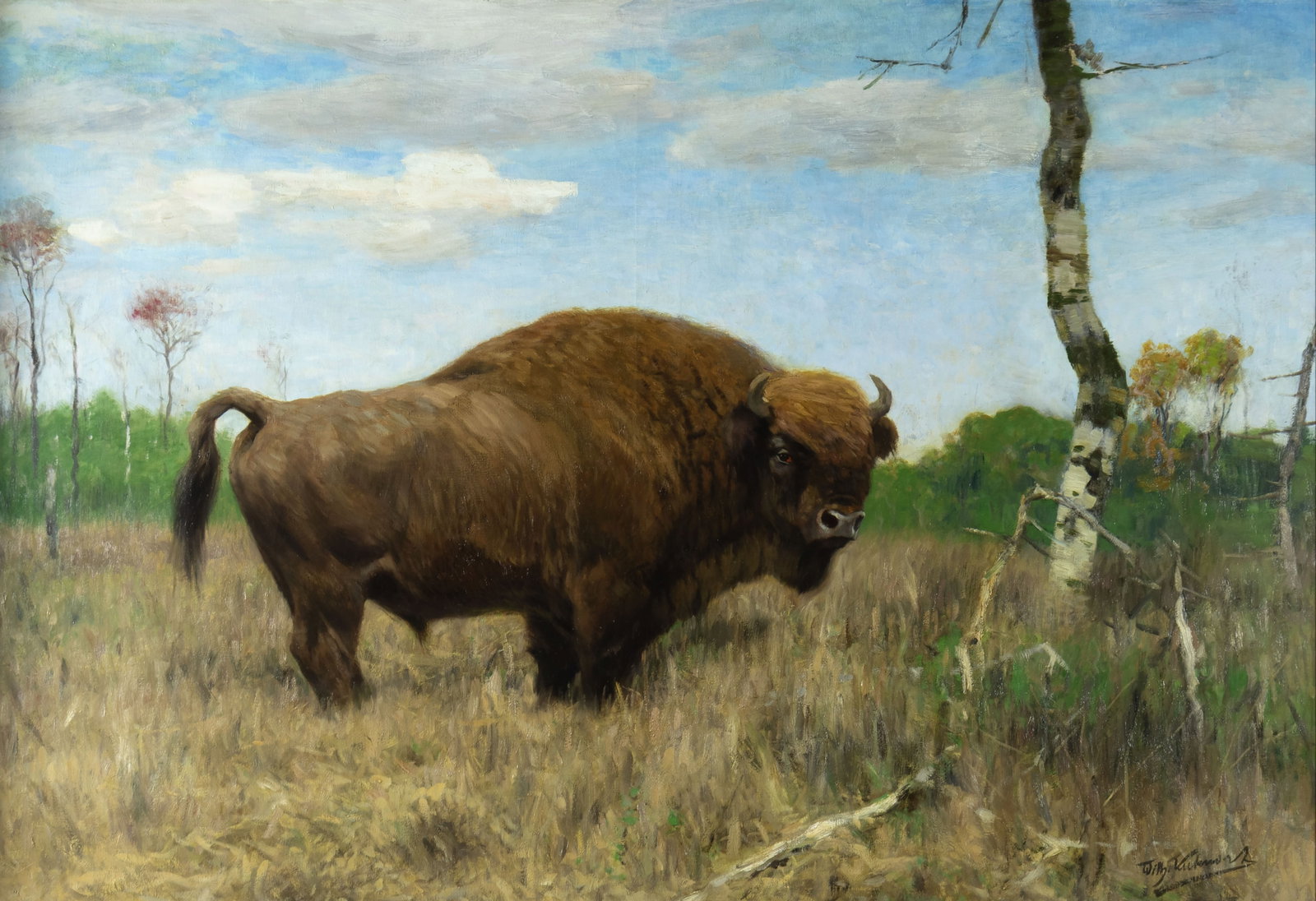 Wilhelm Kuhnert, Wisent (European Bison): Wilhelm Kuhnert German, 1865-1926 Wisent (European Bison) oil on canvas signed lower right: Willy. Kuhnert verso: signed 37 3/4 x 55 1/2 in., Frame: 47 1/4 x 65 x 4 1/4 in. Provenance: The Artist