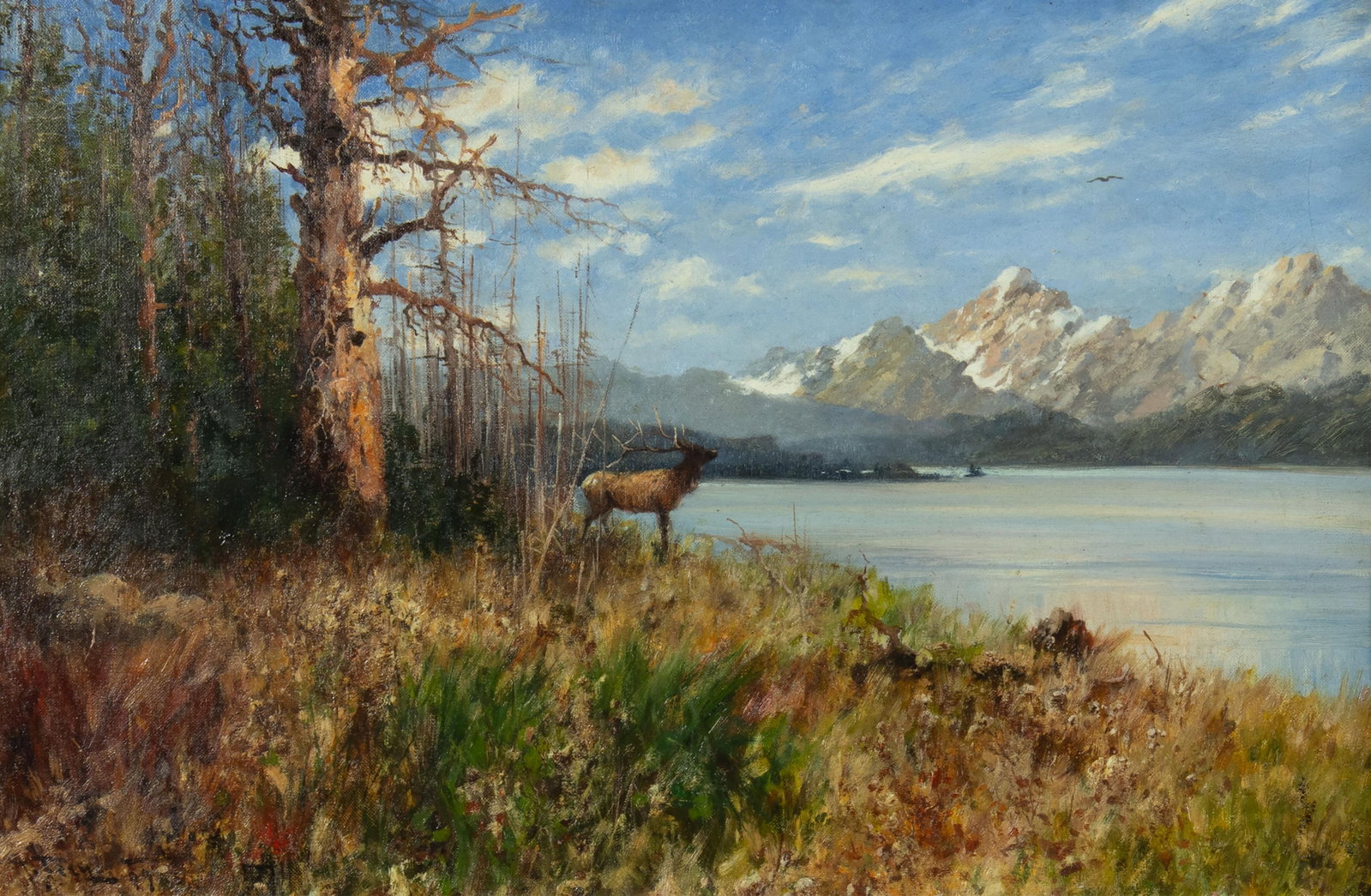 John Fery, Elk in Landscape, 1899: John Fery 1859-1934 Elk in Landscape, 1899 oil on canvas signed and dated lower left: J. Fery 99 14 1/2 x 22 1/2 in., Frame: 23 x 30 3/4 x 4 1/4 in. Provenance: Gallery Mayo, Richmond, VA (label
