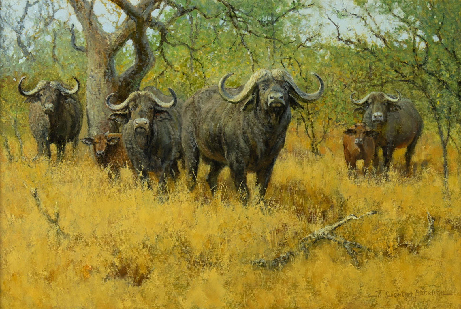Terry Bateman, Cape Buffalo: Terry Bateman b.1942 Cape Buffalo oil on canvas signed lower right: T Swanton Bateman © 20 x 30 in., Frame: 29 1/4 x 39 1/4 x 2 1/2 in. Provenance: Private Collection, Tucson, AZ