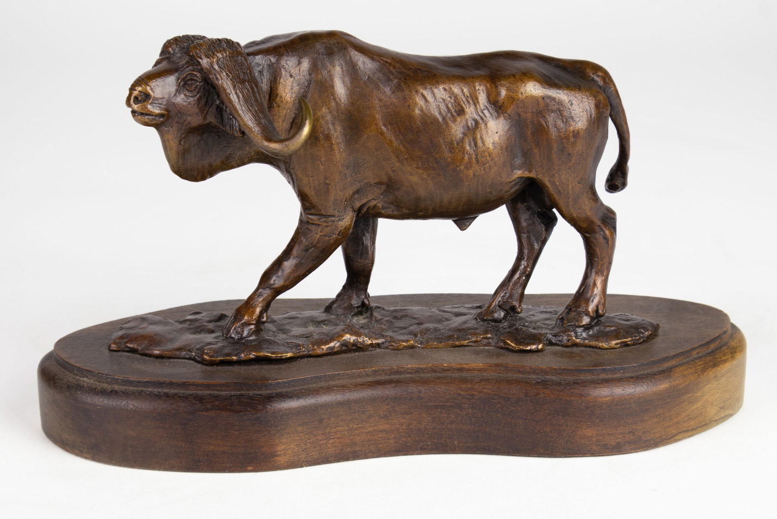 Terry Owen Matthews, Buffalo Walk, 1991 (1 of 5)