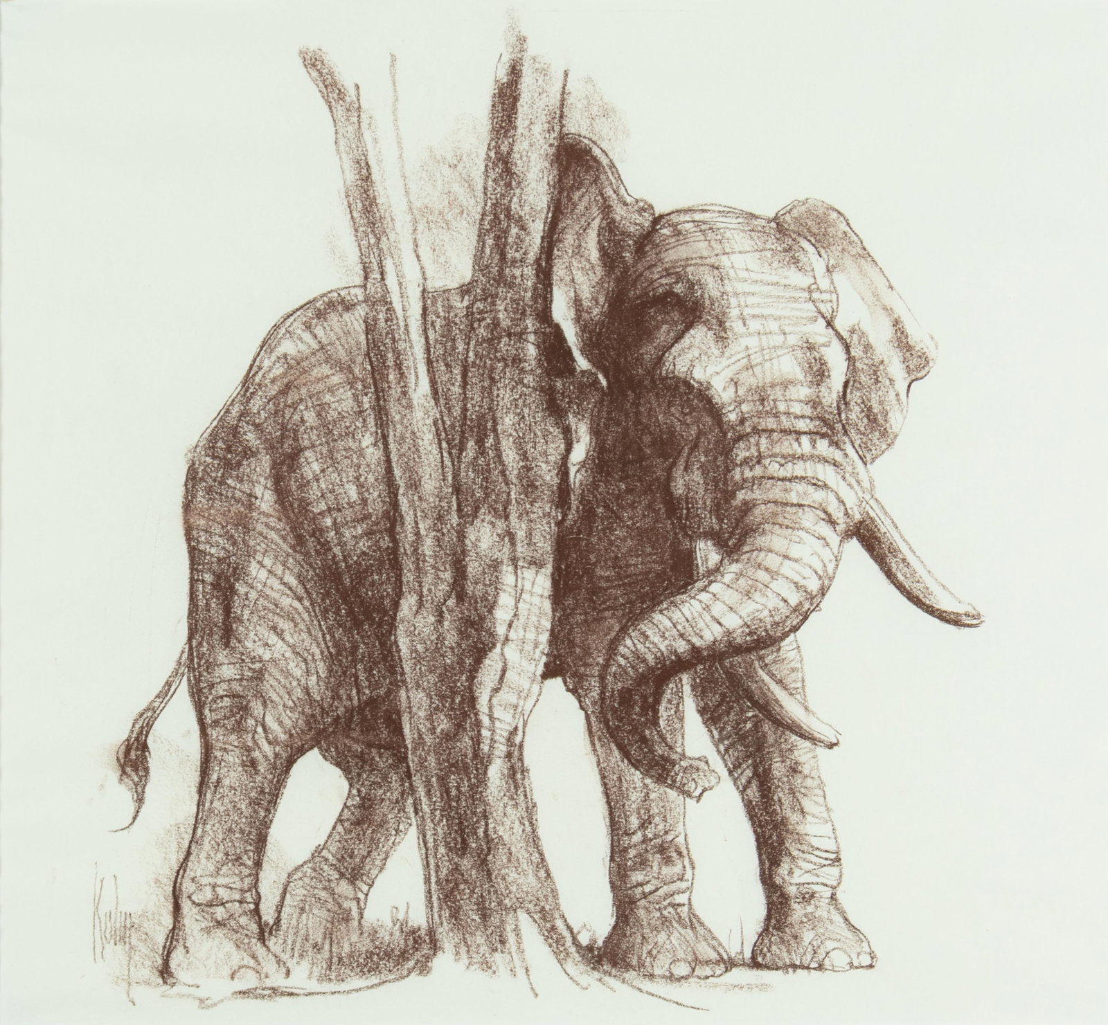 Bob Kuhn, Elephant: Bob Kuhn 1920-2007 Elephant conte crayon on paper signed lower left: Kuhn 13 3/4 x 15 in., Frame: 20 1/2 x 21 5/8 x 7/8 in. Provenance: Private Collection, Bozeman, MT